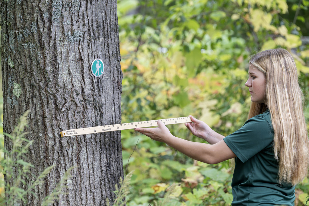 Conservation student working during class