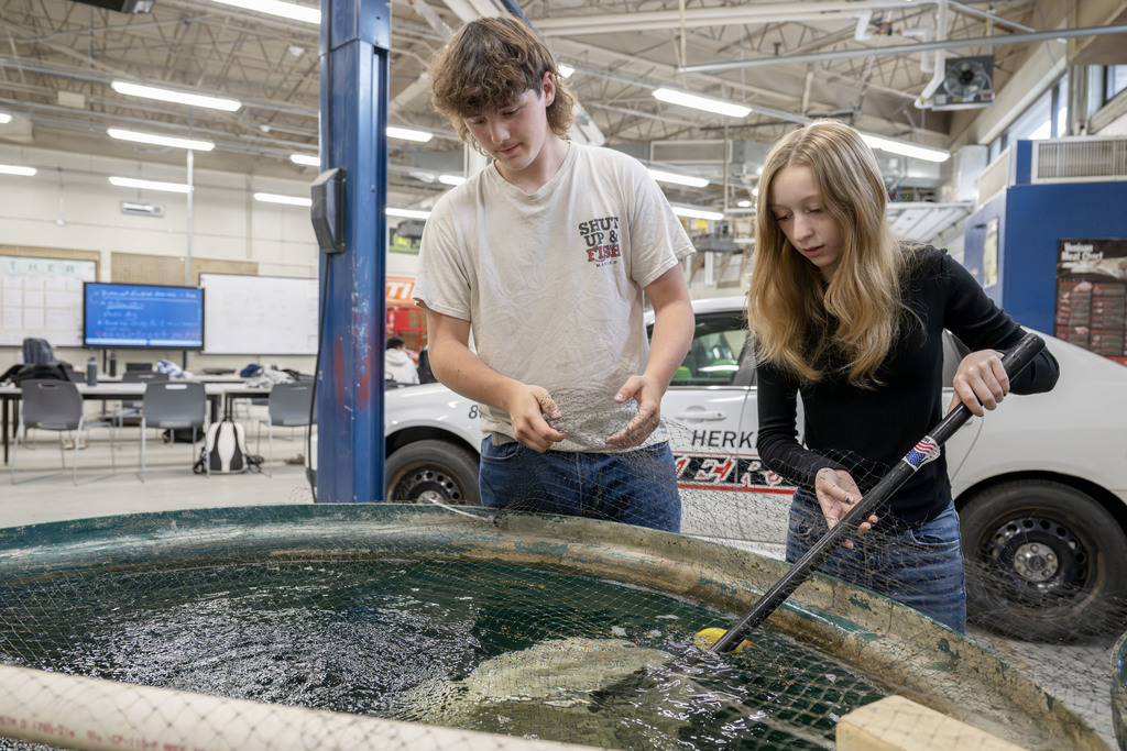 Conservation students working during class