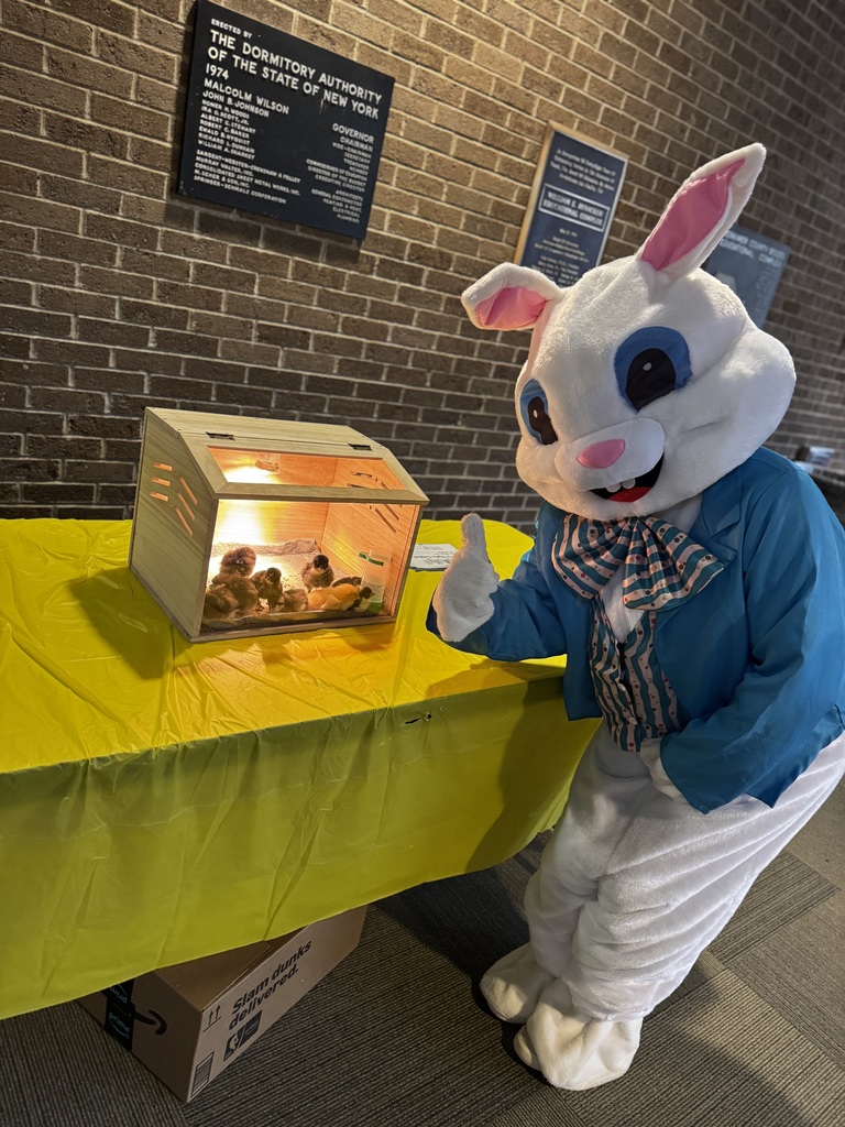 Easter Bunny and live chicks