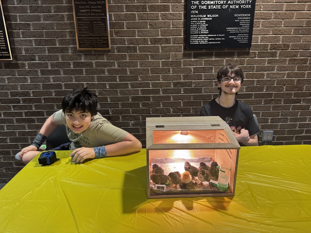 Two students at table with live chicks