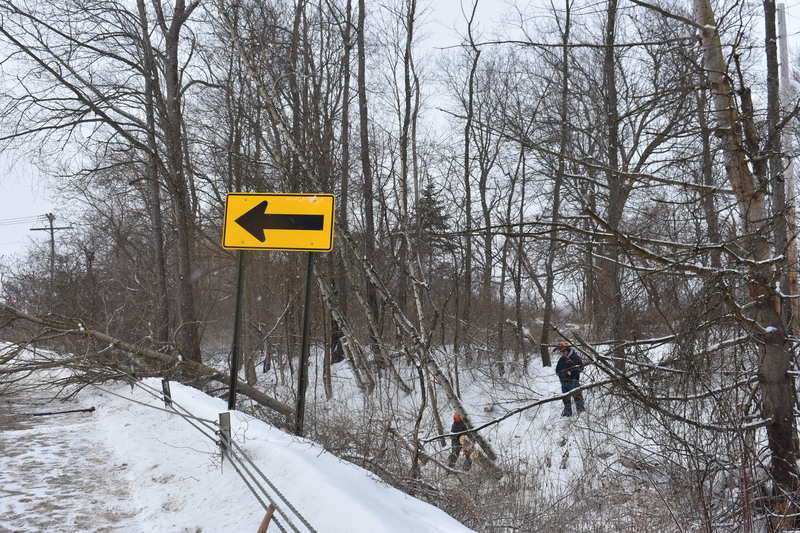 Conservation student cutting down a tree with chainsaw as teacher looks on