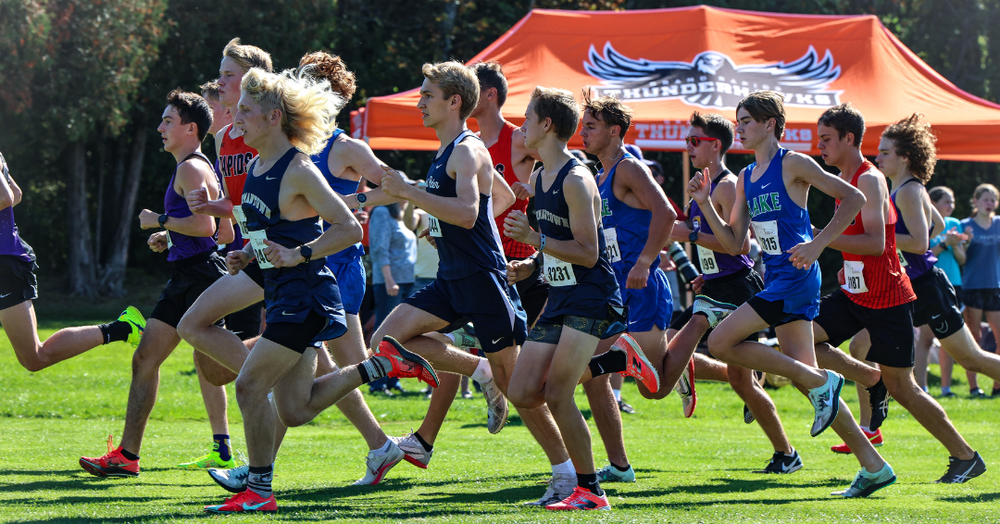 Hermantown boys cross country runners at the start of the Swain Invitational