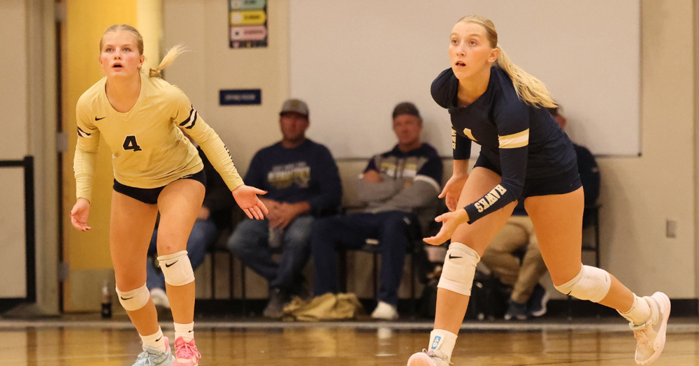 Hermantown Volleyball