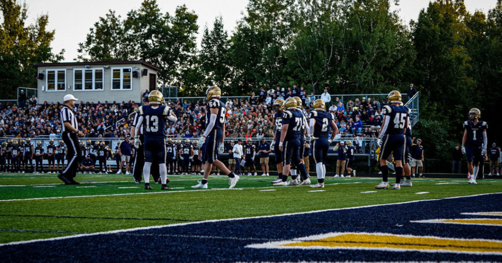 hermantown football team with fans in the background