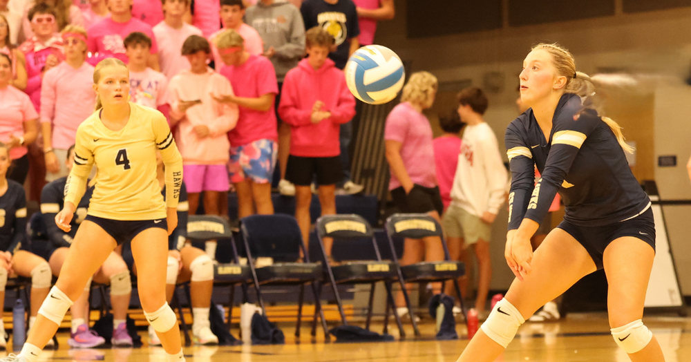 Hermantown volleyball dig
