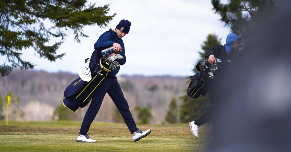 Hermantown Boys Golf