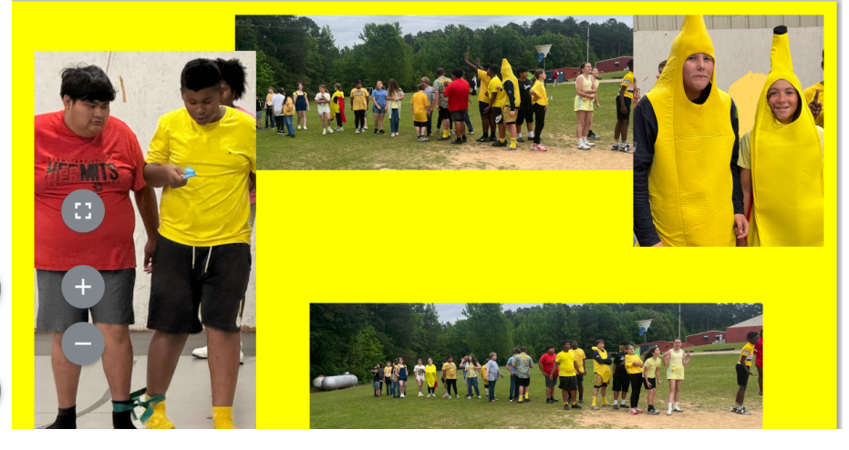 fieldday