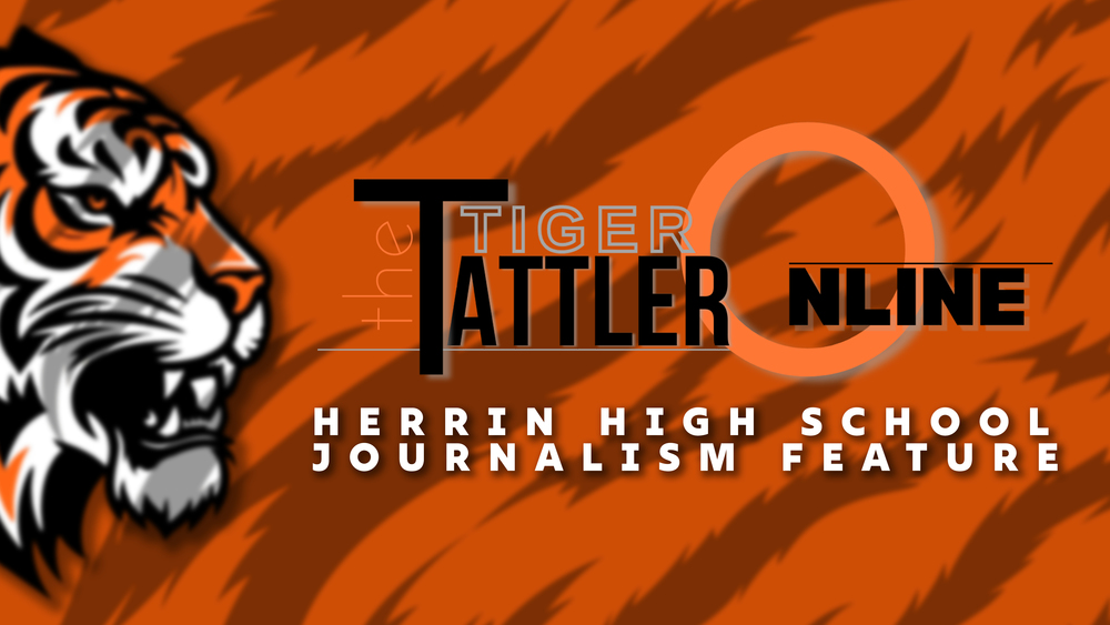 Tiger Tattler