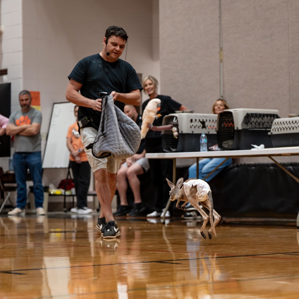 Zoodles Animal Education