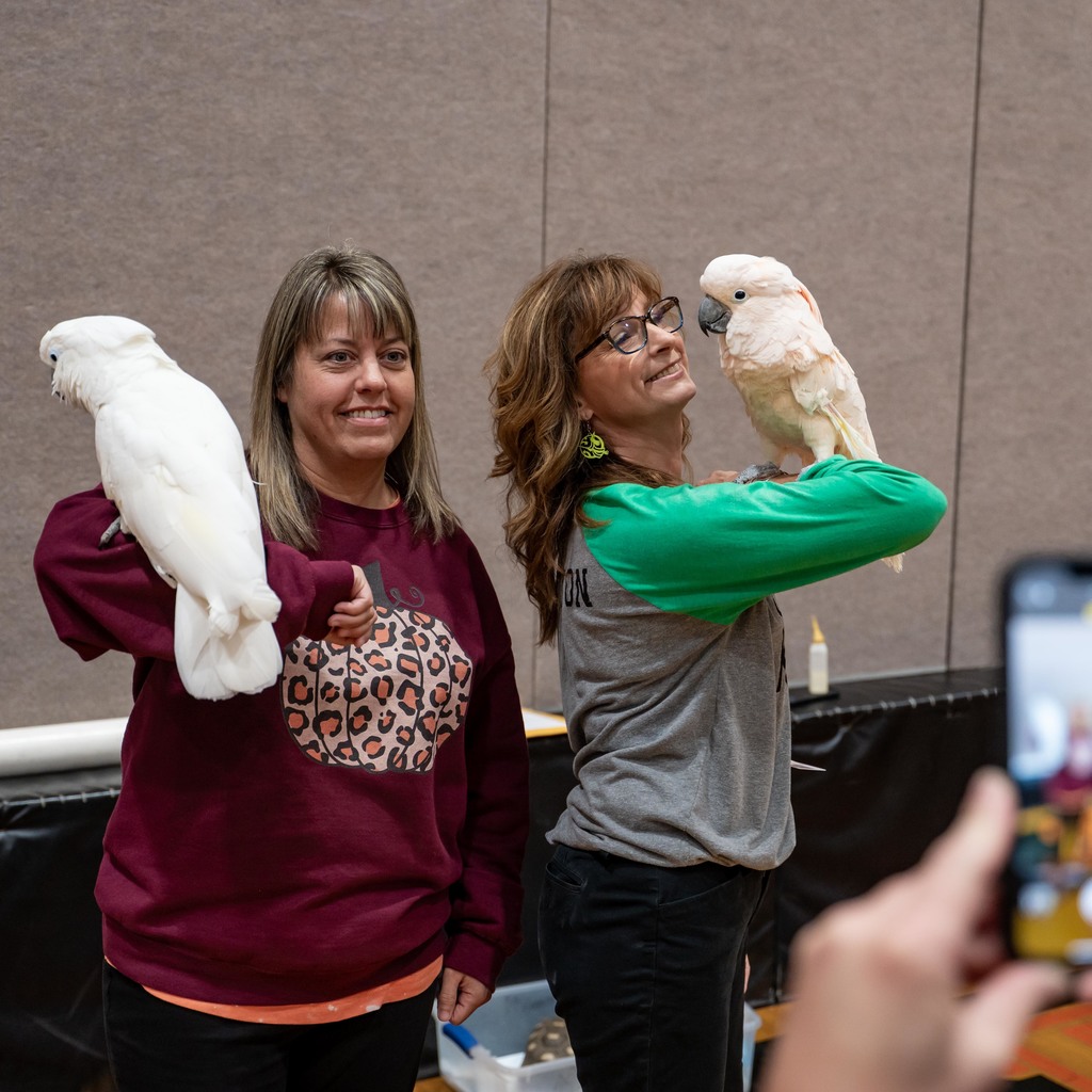 Zoodles Animal Education