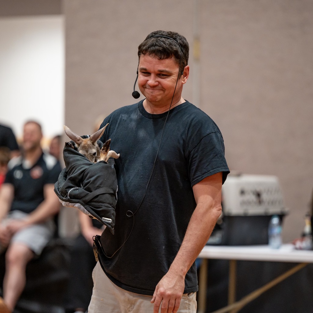 Zoodles Animal Education