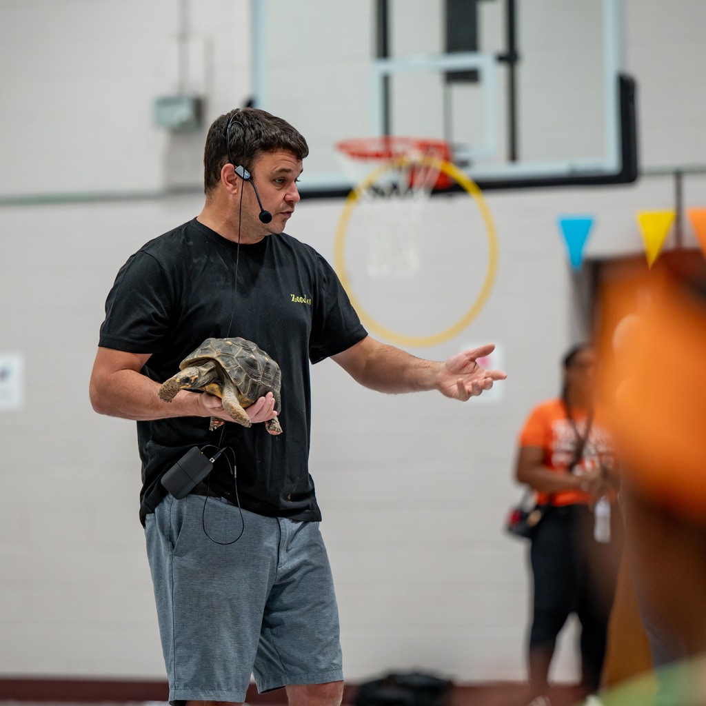 Zoodles Animal Education