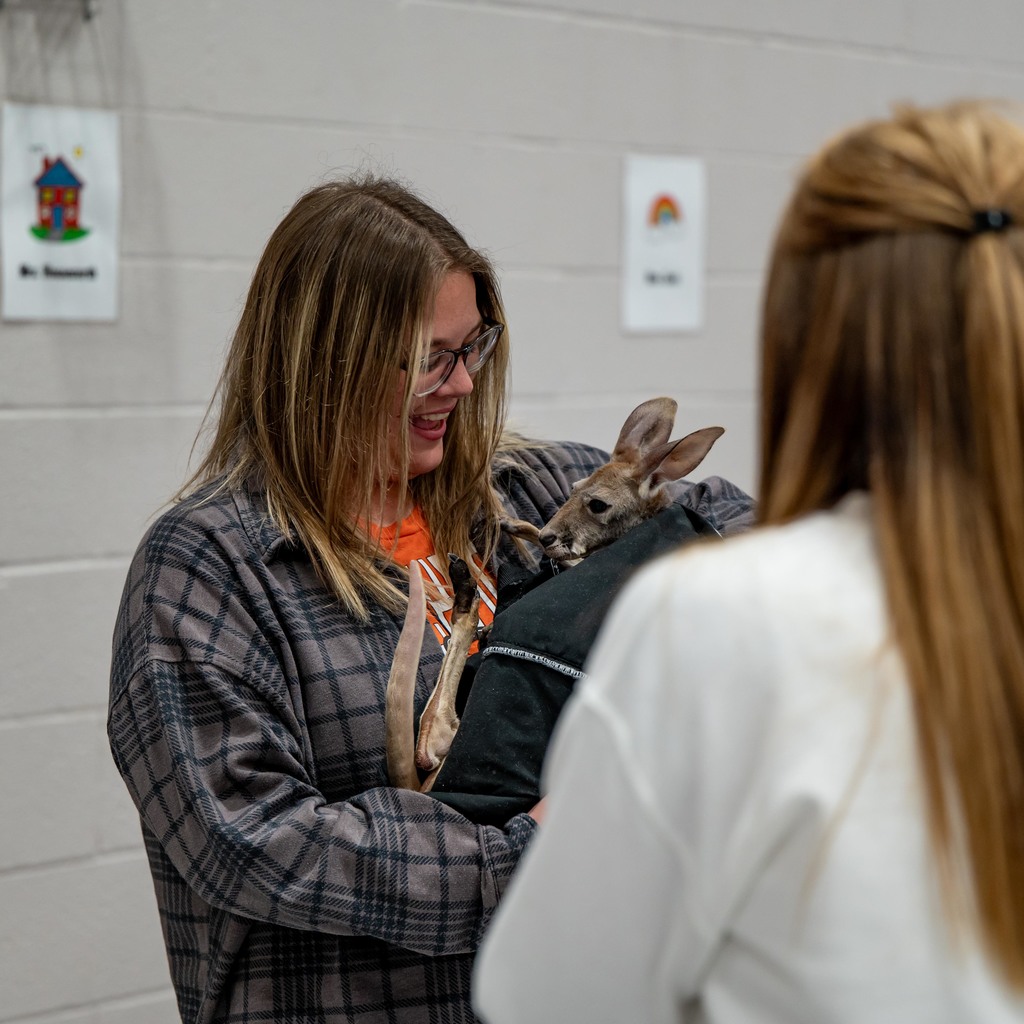 Zoodles Animal Education