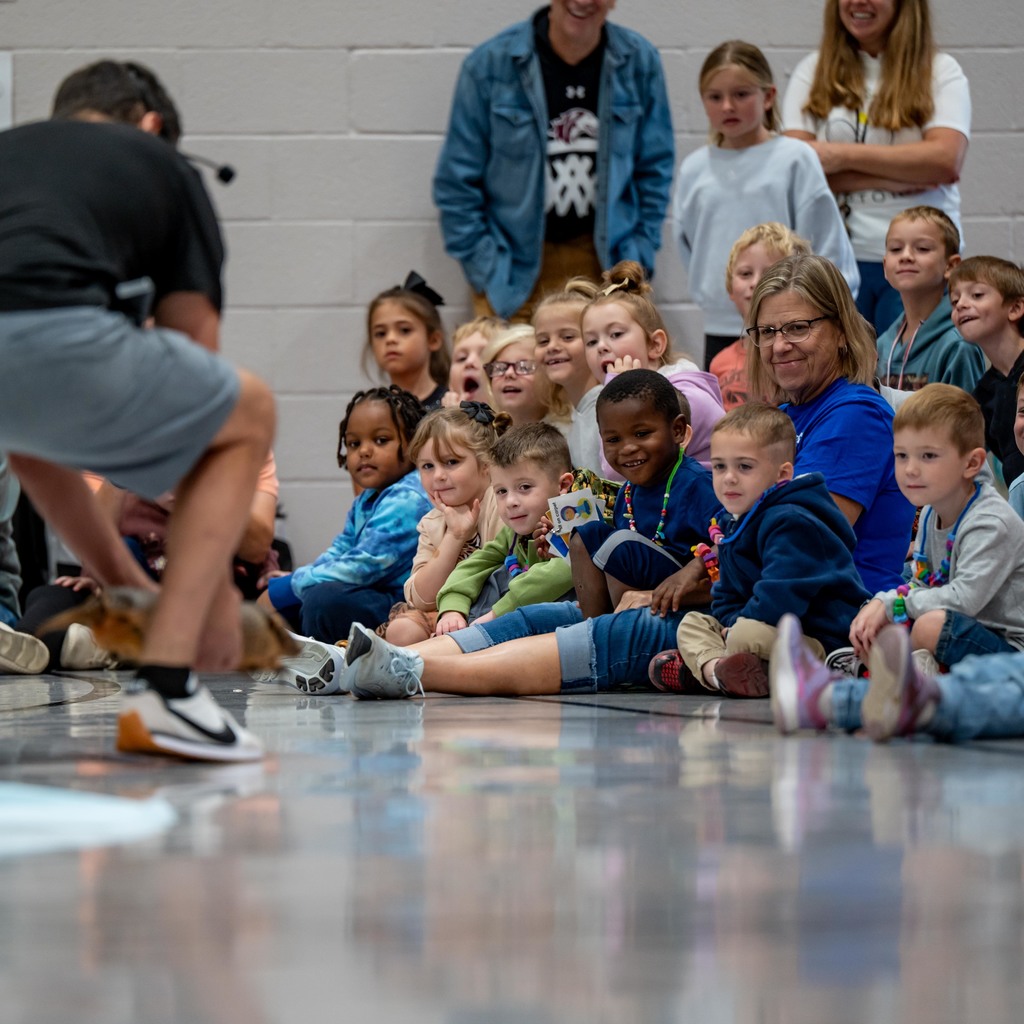 Zoodles Animal Education