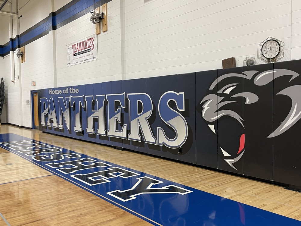 image for panthers