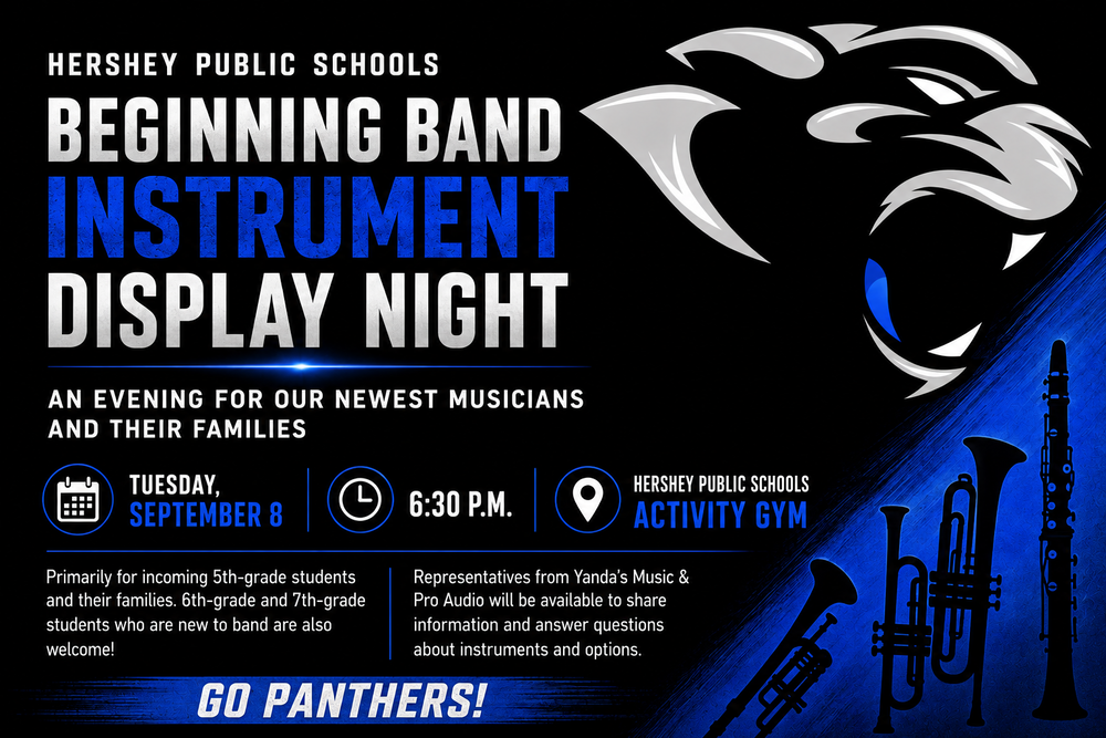 Band Display Night