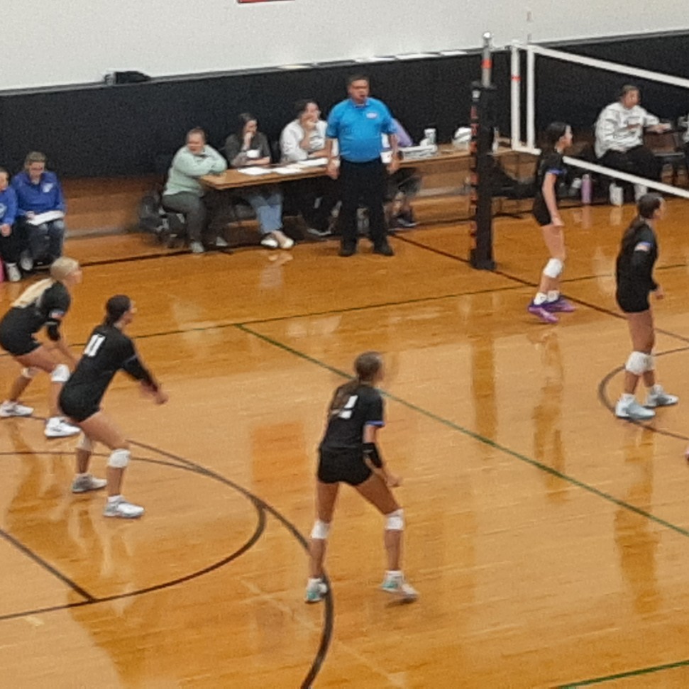 vb