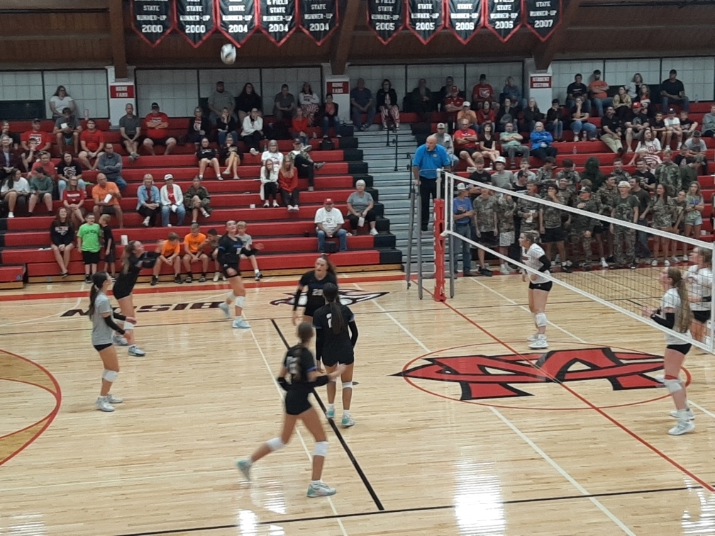 VB