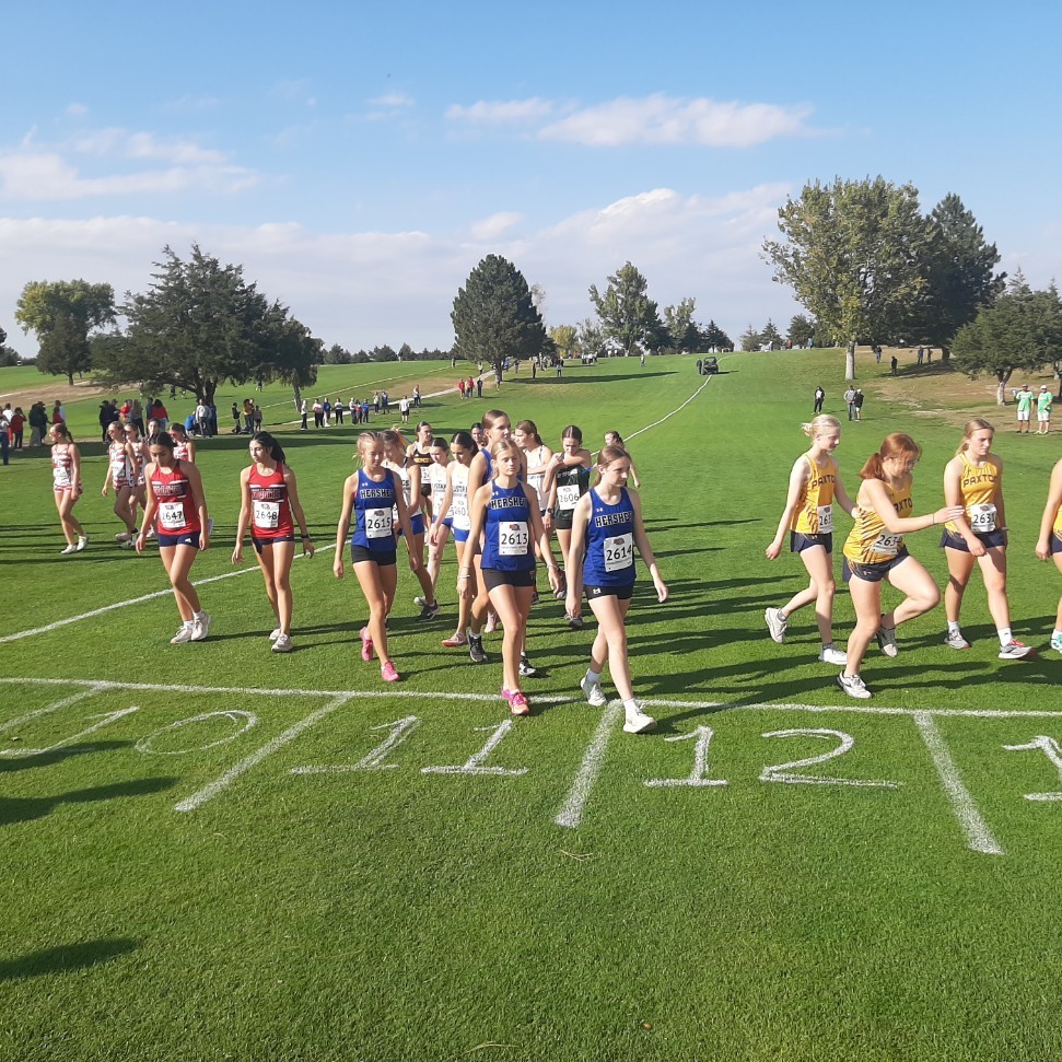 xc