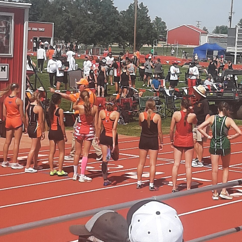 t & f