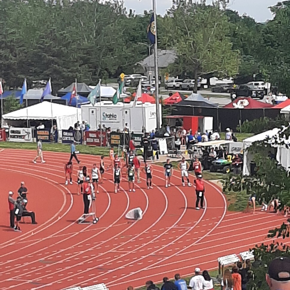 t & f