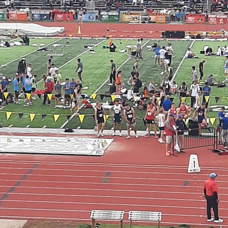 t & f