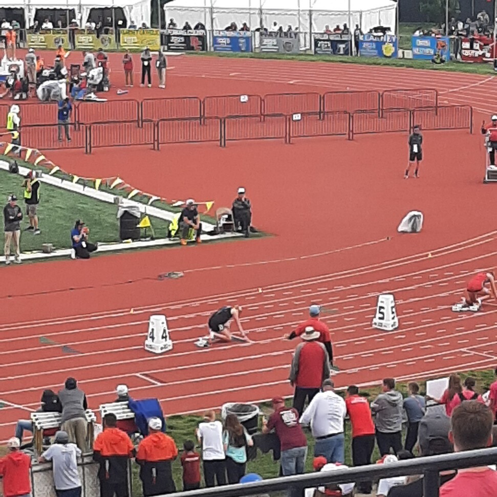 t & f