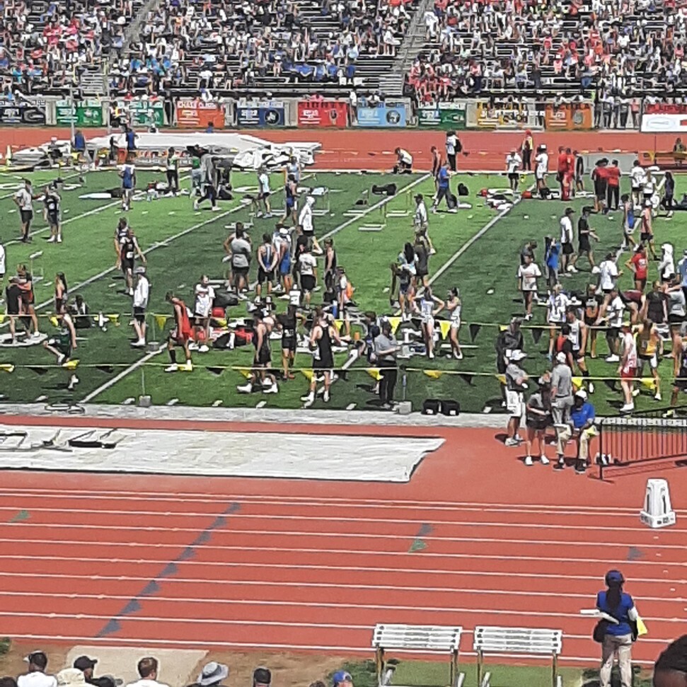 t & f