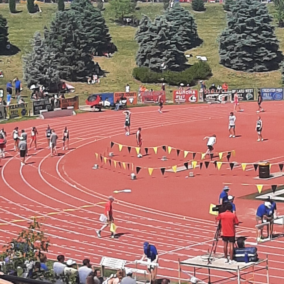 t & f
