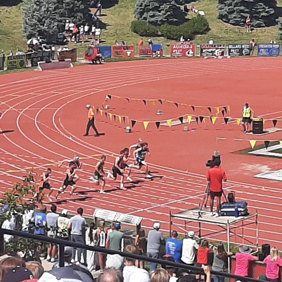 t & f