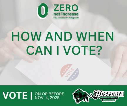 How and When to Vote?