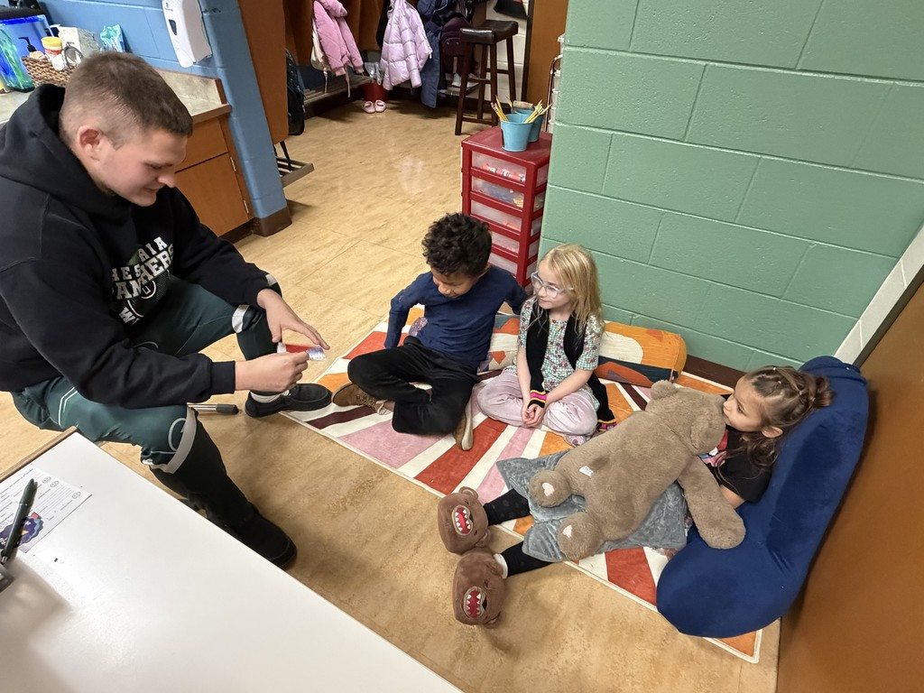 Constitution Presentations 