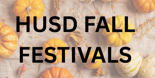 Fall Festival Banner