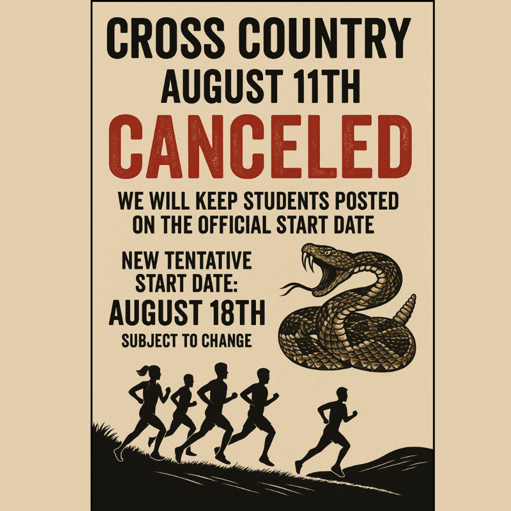 Cross Country Flyer 