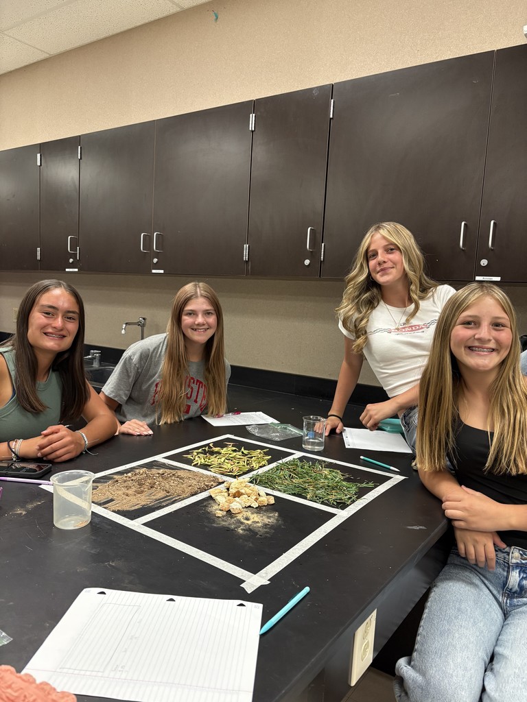Mrs. Higgins Science 3