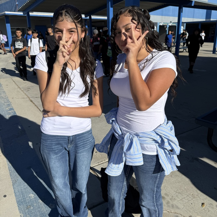 Twinning
