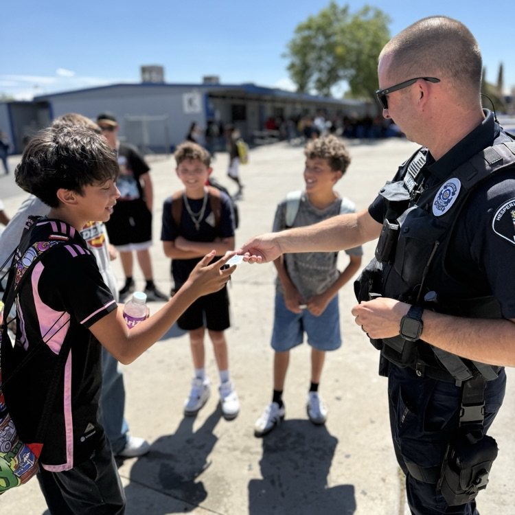 Police Stickers