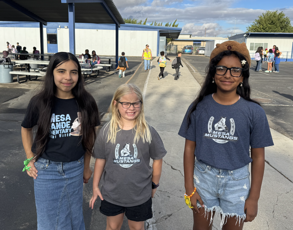 Mustang shirts