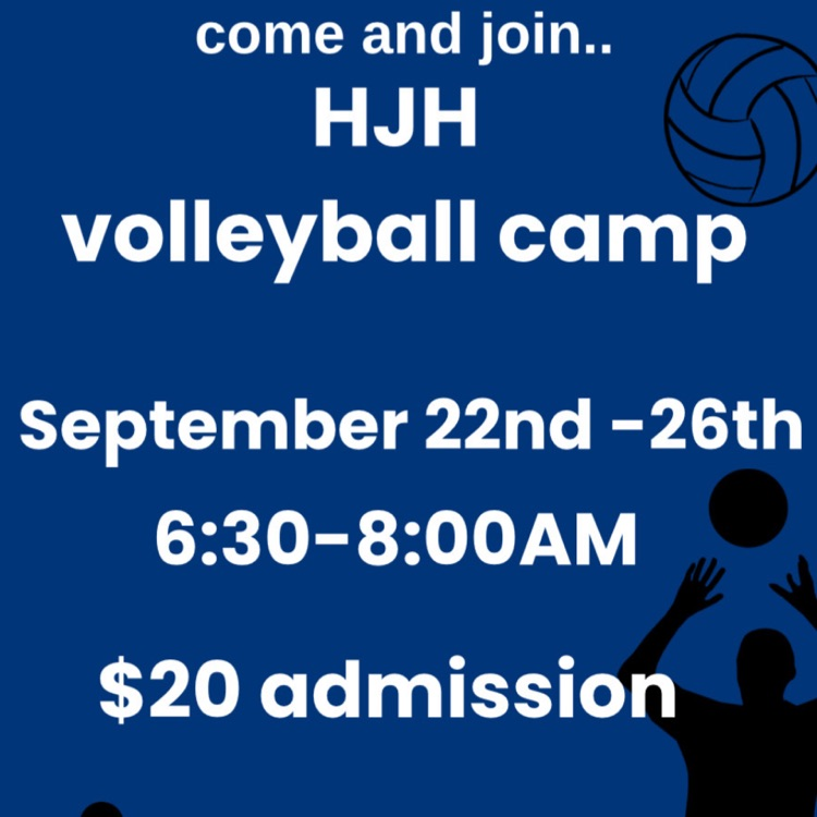 Volleyball Camp