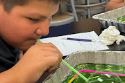 6th grade science  lab 