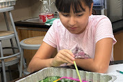 6th grade science  lab 