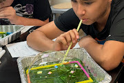 6th grade science  lab 