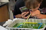6th grade science  lab 