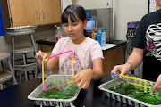 6th grade science  lab 