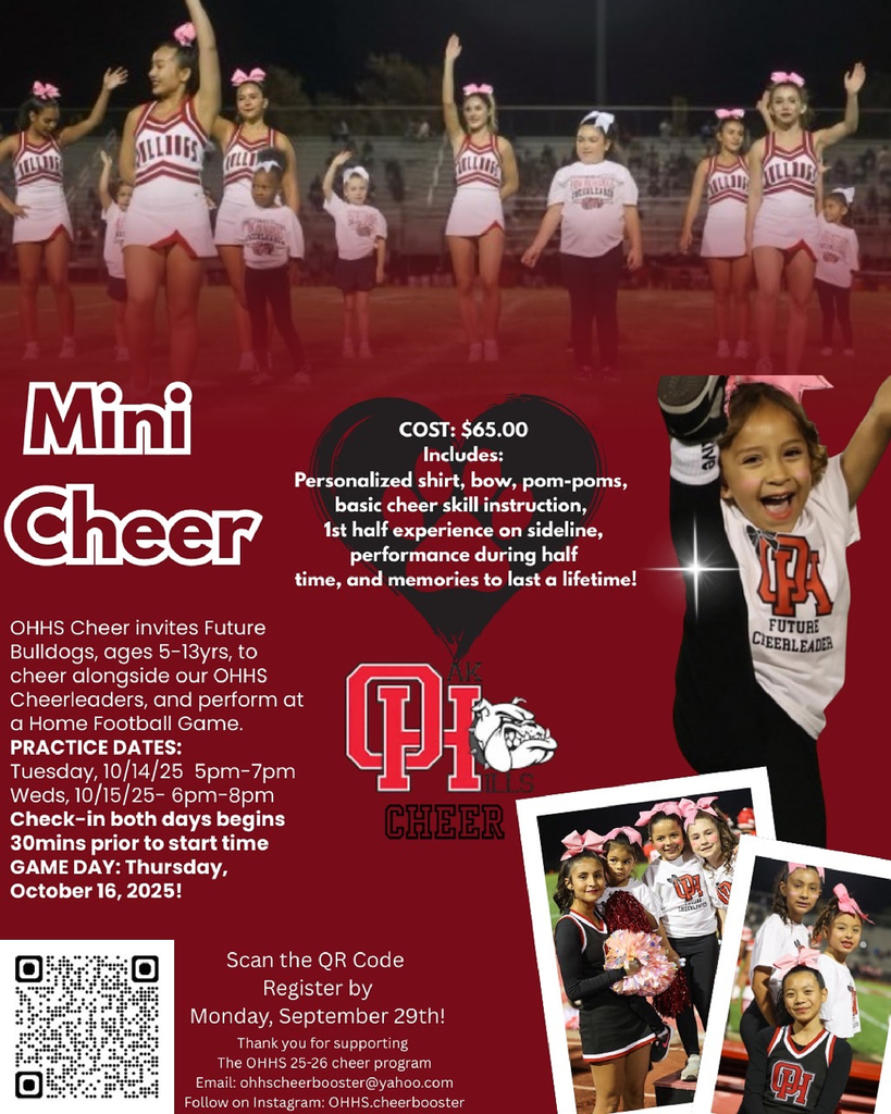 Mini Cheer Flyer