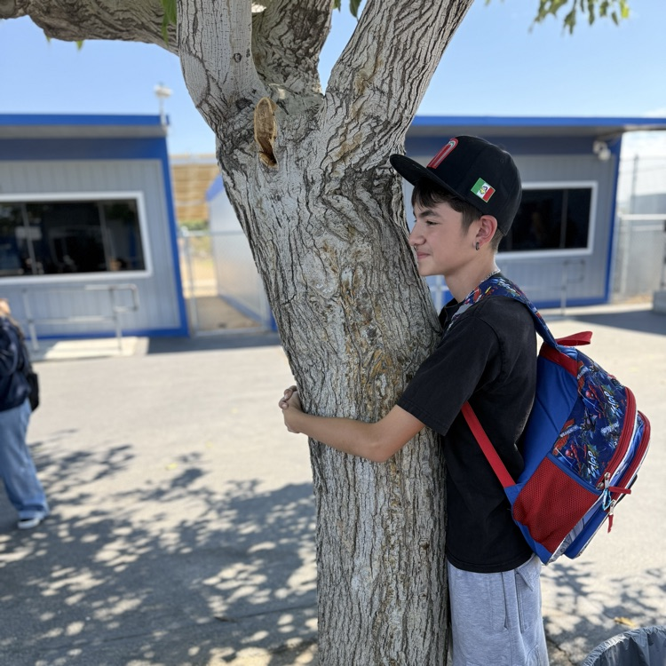 Tree hugger