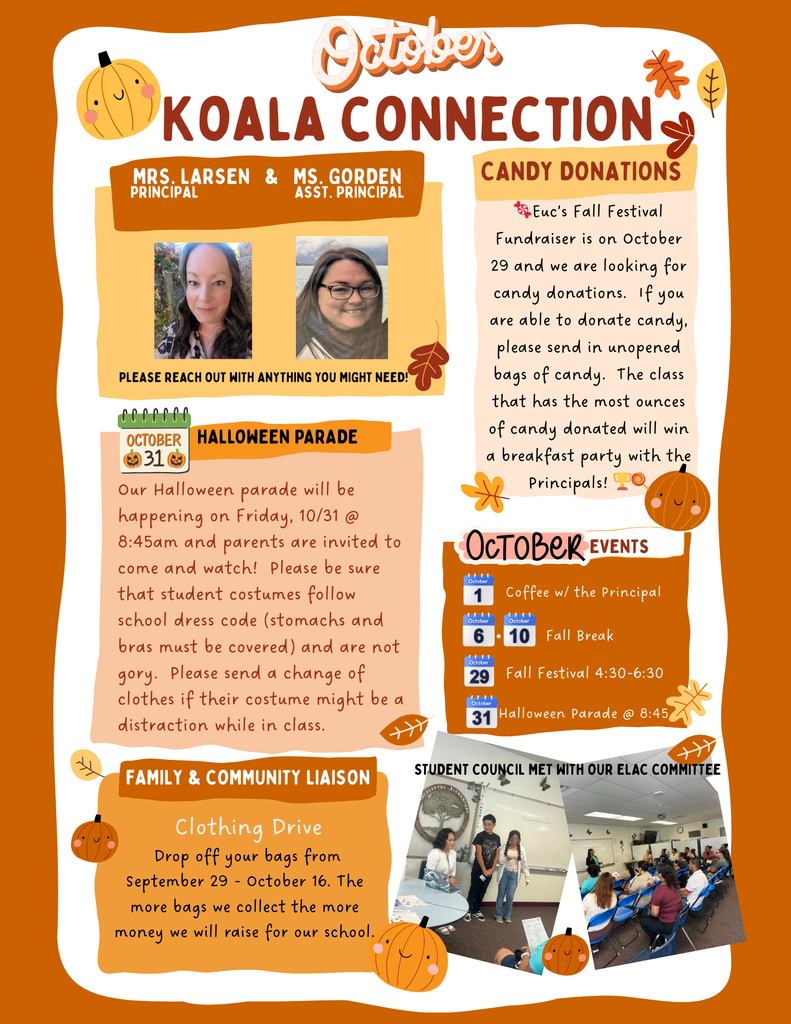 Koala Connection
