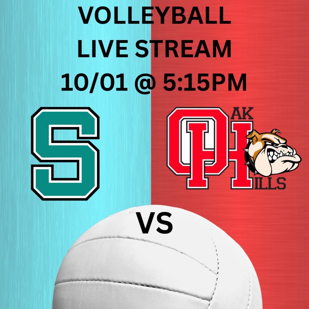 volleyball graphic