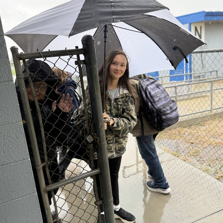 Rainy Day