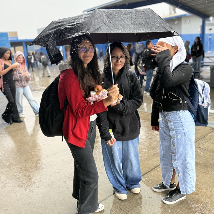 Rainy Day